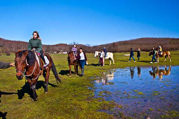 Αφιέρωμα “Ταξίδια Οικογενειακώς”: Από δεντρόσπιτα μέχρι χαυλιόδοντες-2