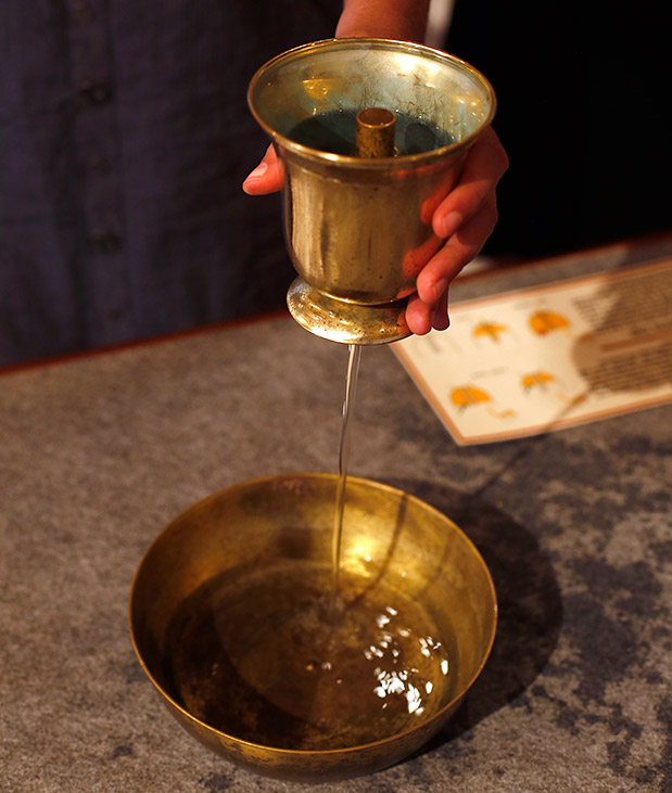 Αφιέρωμα “Ταξίδια Οικογενειακώς”: Από δεντρόσπιτα μέχρι χαυλιόδοντες-4