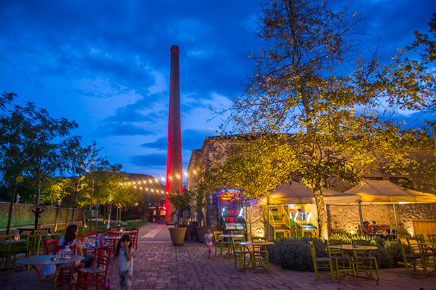 Αφιέρωμα “Ταξίδια Οικογενειακώς”: Από δεντρόσπιτα μέχρι χαυλιόδοντες-6