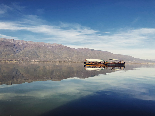 Αφιέρωμα “Ταξίδια Οικογενειακώς”: Από δεντρόσπιτα μέχρι χαυλιόδοντες-1