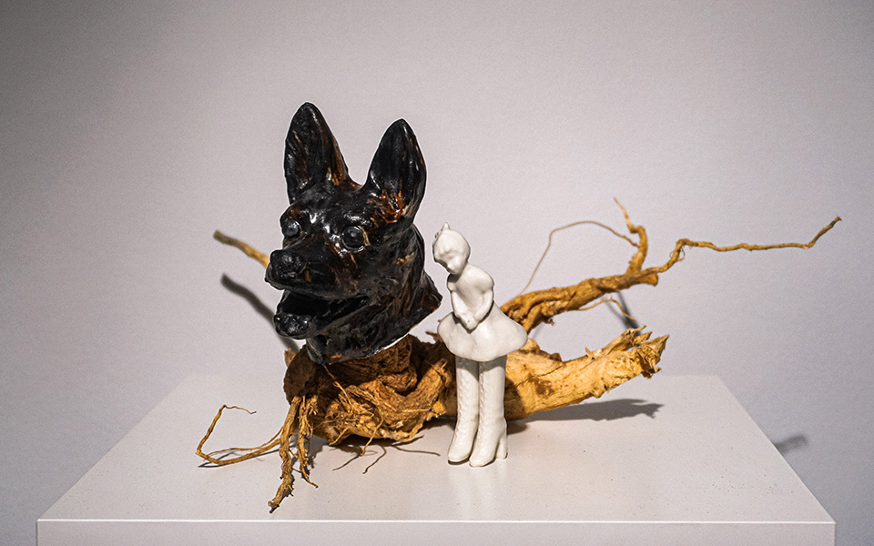 Ο μυστικός κήπος της Κυριακής Μαυρογεώργη-1