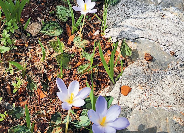 Το σπίτι έμπαινε στη θάλασσα-2