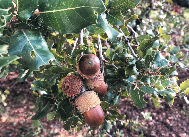 Το σπίτι έμπαινε στη θάλασσα-3