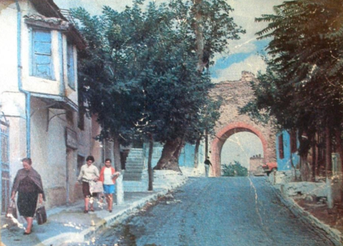 Διατηρητέα μνημεία της φύσης τέσσερα υπεραιωνόβια πλατάνια στη Θεσσαλονίκη-2