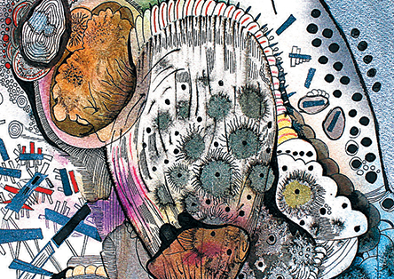 Η τέχνη στηρίζει την εκπαίδευση στην έκθεση «Fulbright Polymorphia»-1