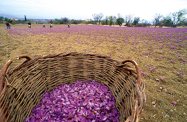 Το φθινόπωρο είναι εδώ-4