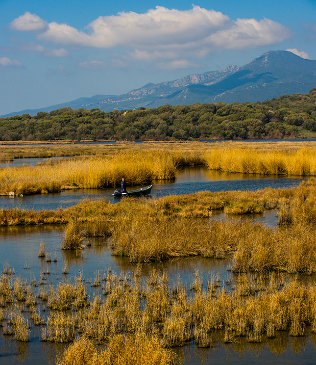 Το φθινόπωρο είναι εδώ-1