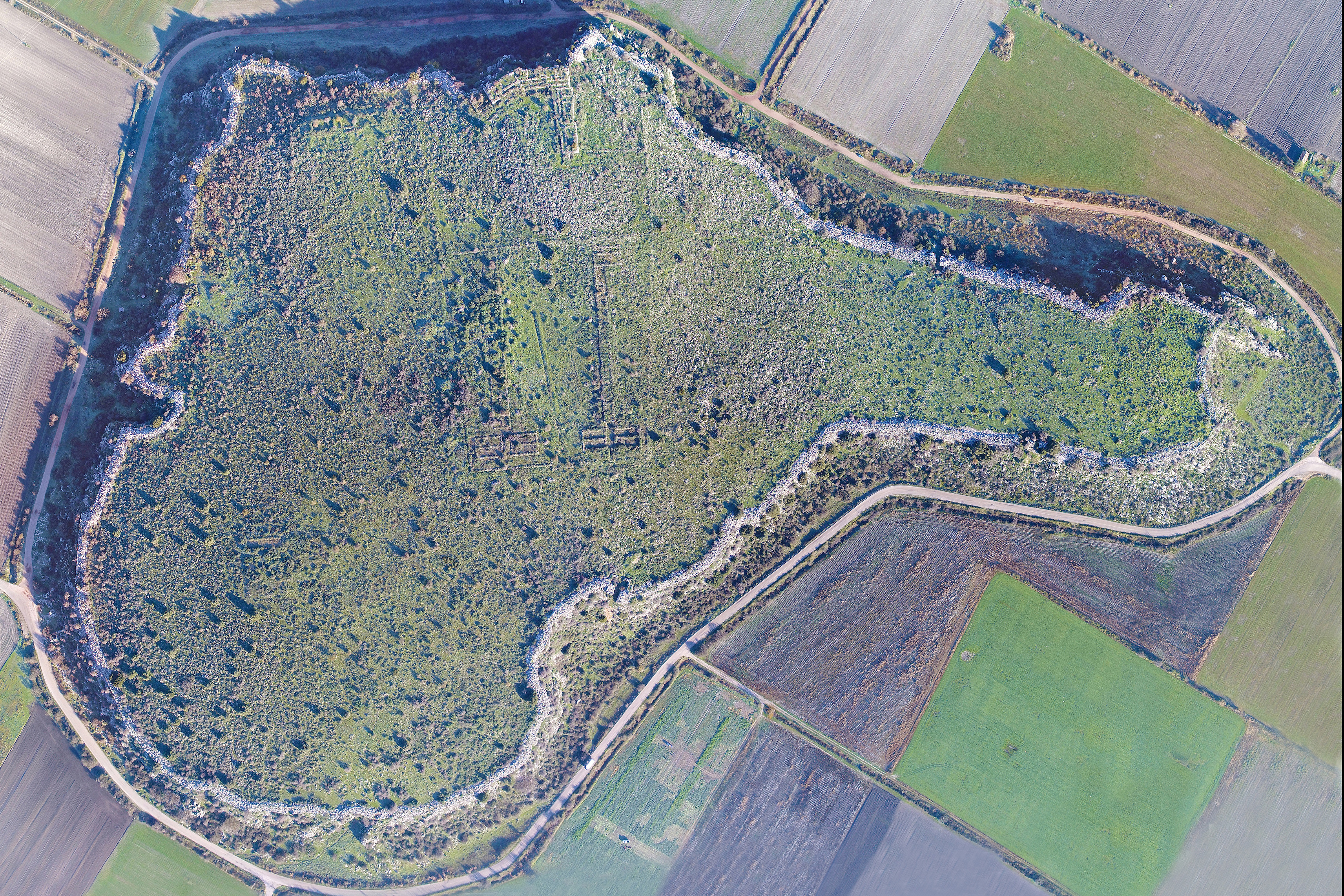 Στο φως νέα ευρήματα από τη μεγαλύτερη μυκηναϊκή ακρόπολη της Βοιωτίας-1