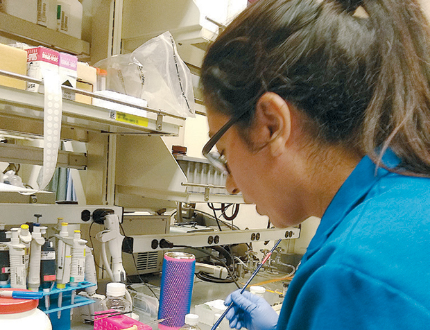 Η συναρπαστική μπλε ιστορία του κόσμου-2