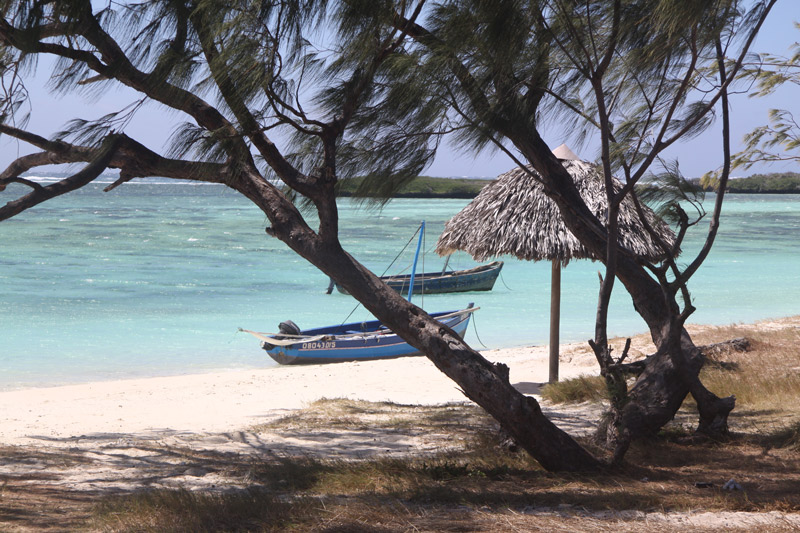 Αρωμα βανίλιας και γεύση σοκολάτας-2