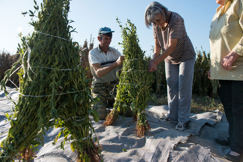Το ταχίνι της παραμεθορίου-4