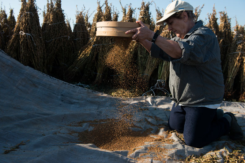 Το ταχίνι της παραμεθορίου-6