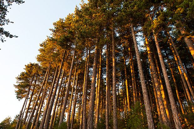 Ο Πάρνωνας κρύβει εκπλήξεις-5