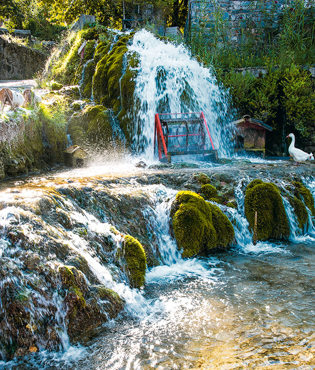 Ο Πάρνωνας κρύβει εκπλήξεις-4