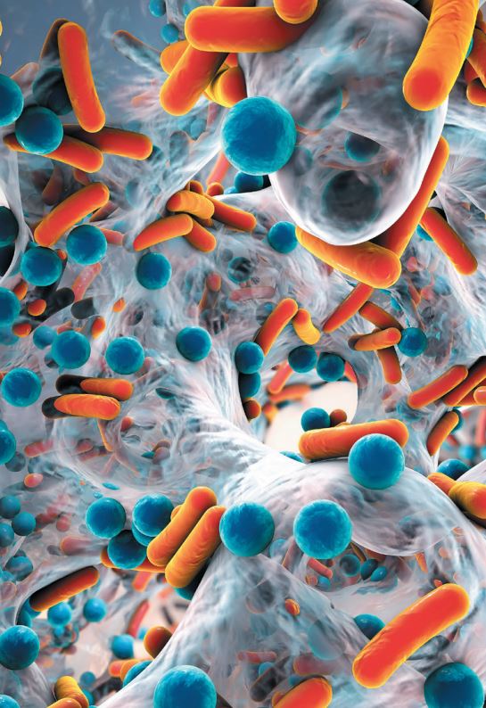 Σήμα κινδύνου για τα υπερμικρόβια-2