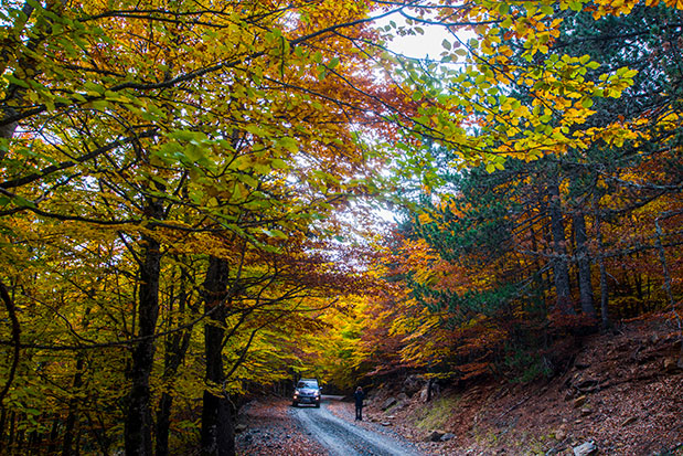 Ο χειμώνας κάνει καλό-9