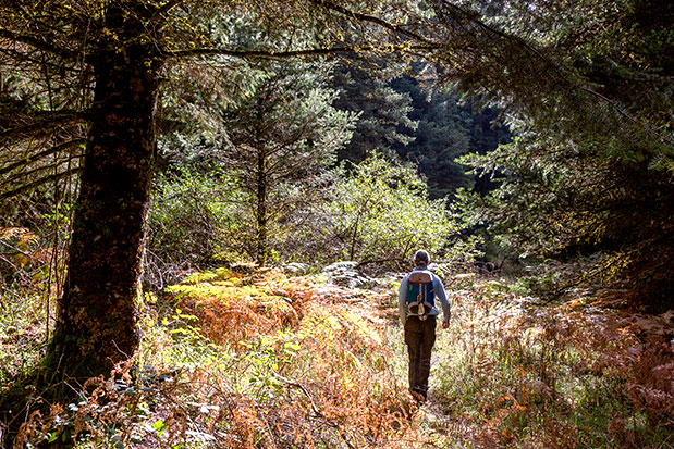 Ο χειμώνας κάνει καλό-3