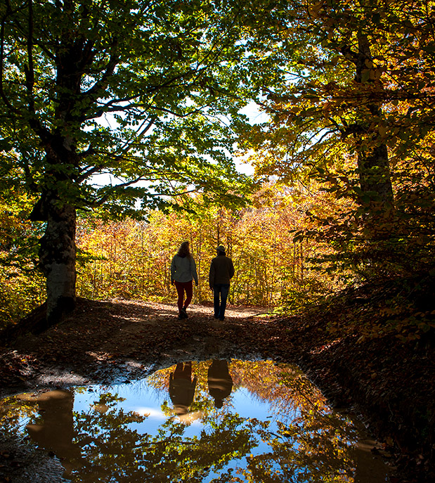 Δυτικά Βαρδούσια: Για απαιτητικούς-1