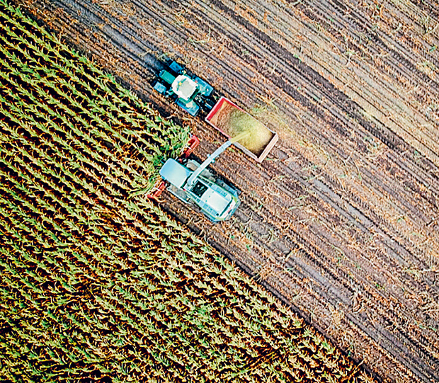 Ενα κοινοτικό δίκτυο στους πρόποδες του Ολύμπου-2