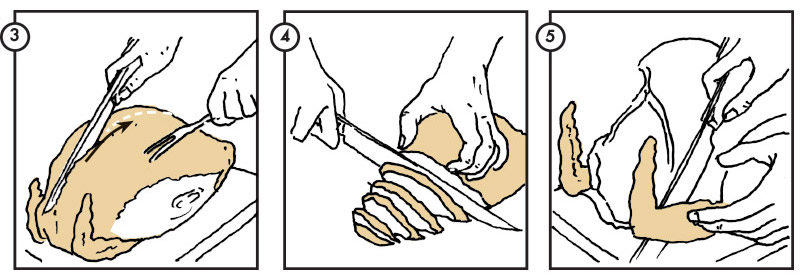 Τα μυστικά της γαλοπούλας-2