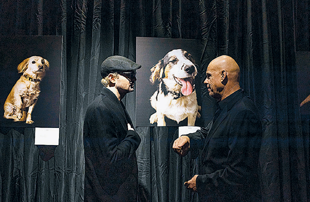 Mια φωτογραφική έκθεση για την ενίσχυση των αδέσποτων ζώων-1