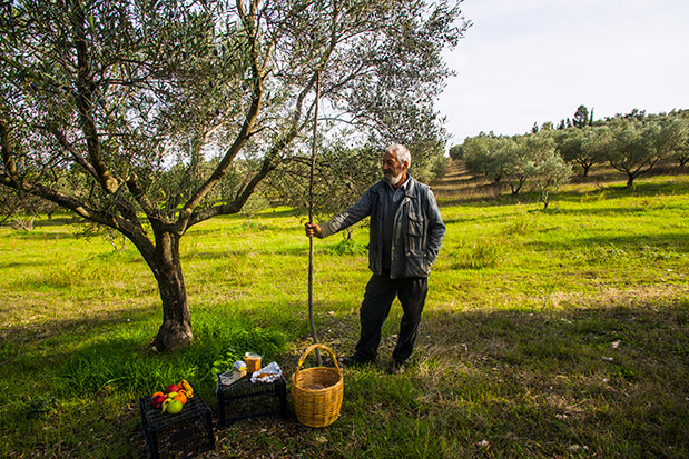 Ορεινή Χαλκιδική: Ιστορίες του χειμώνα-3