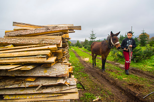 Ορεινή Χαλκιδική: Ιστορίες του χειμώνα-2