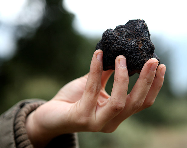 Νοστιμιές πάσης Ελλάδος-3