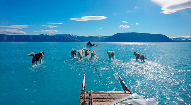Η δεκαετία σε φωτογραφικά στιγμιότυπα-9