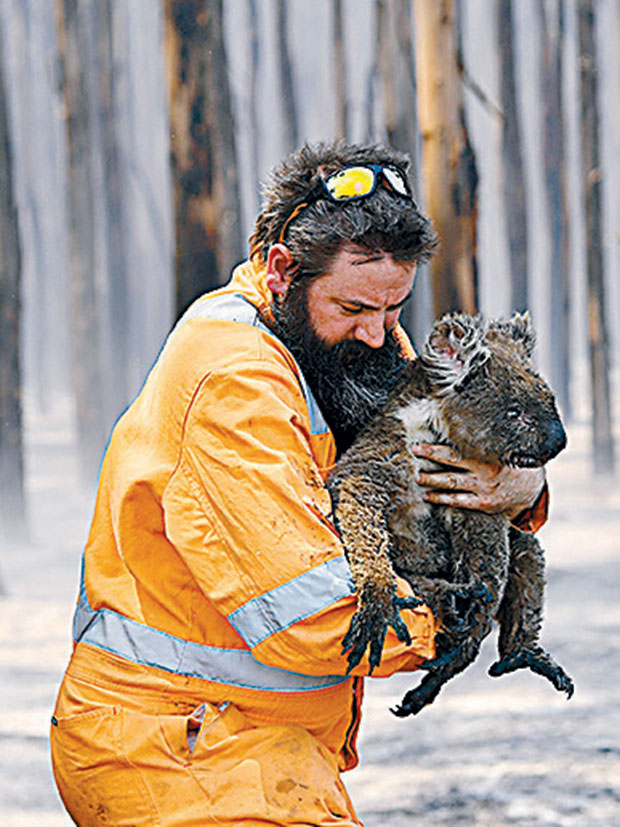 Η αλληλεγγύη στα ζώα ως ένδειξη ανθρωπιάς-1