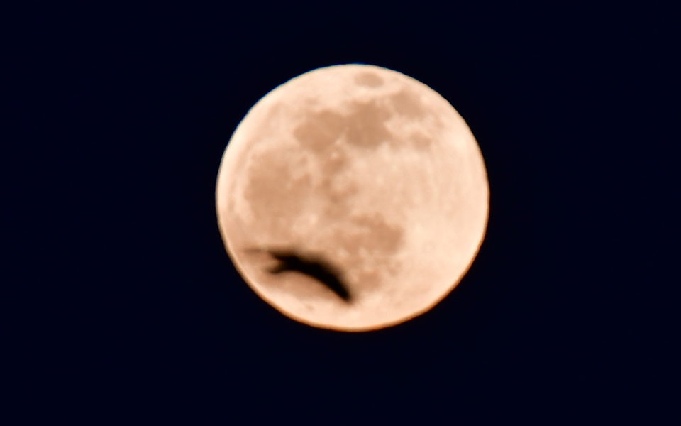 Εντυπωσιακή με έκλειψη παρασκιάς η πρώτη πανσέληνος του 2020 (φωτογραφίες)-5