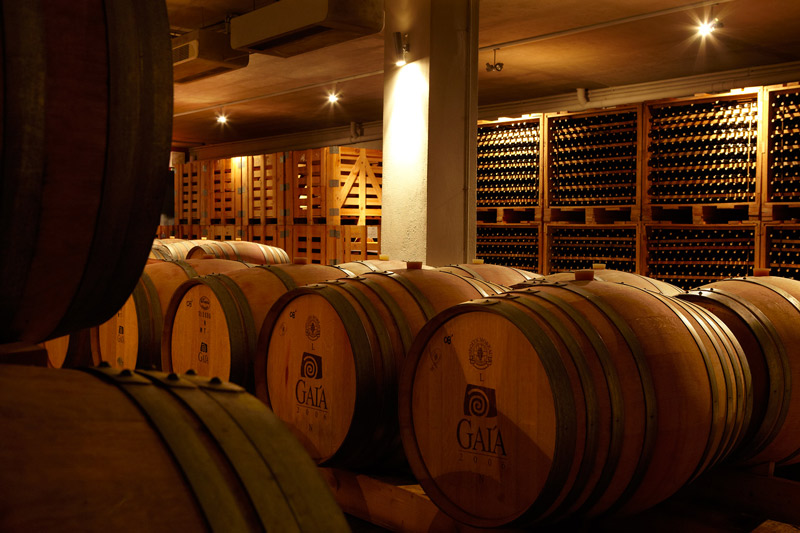 25 χρόνια GAIA WINES: Το χρονικό μιας επιτυχημένης οινικής διαδρομής-1