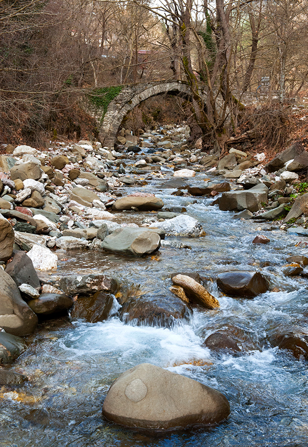 Ελάτη – Περτούλι: Με χιόνι είναι αλλιώς-4