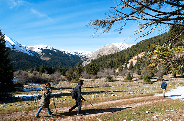 Ελάτη – Περτούλι: Με χιόνι είναι αλλιώς-3