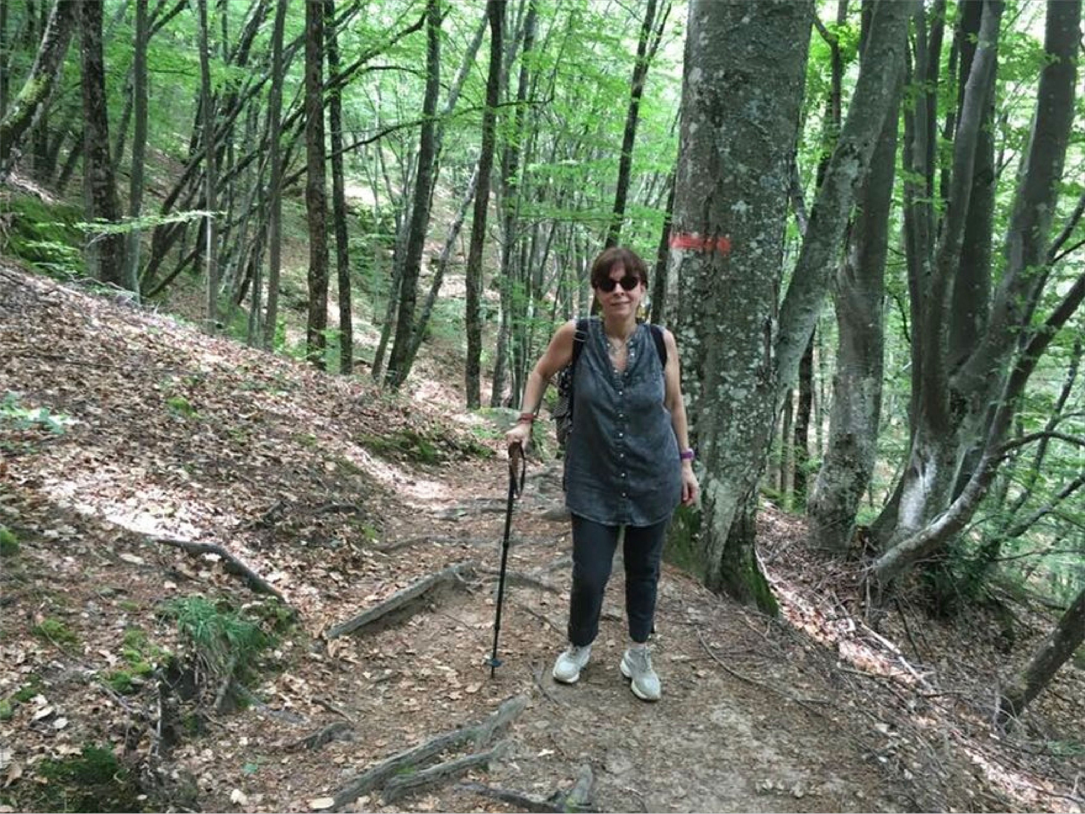 Το προφίλ της κ. Αικατερίνης Σακελλαροπούλου-2