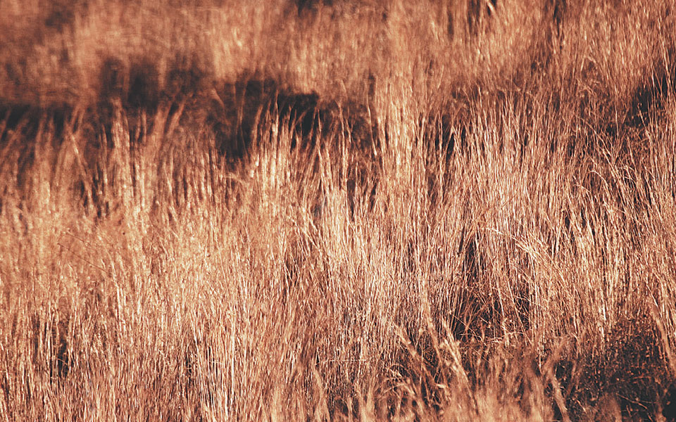 Το ηλεκτρονικό σύμπαν του Ρίτσου-3