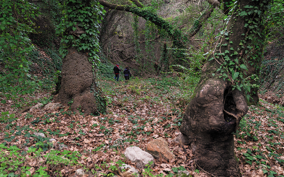 “Ταξίδια”, αυτή την Κυριακή με την Καθημερινή ταξιδεύουμε Μονεμβασιά και Κόστα Ρίκα.-1