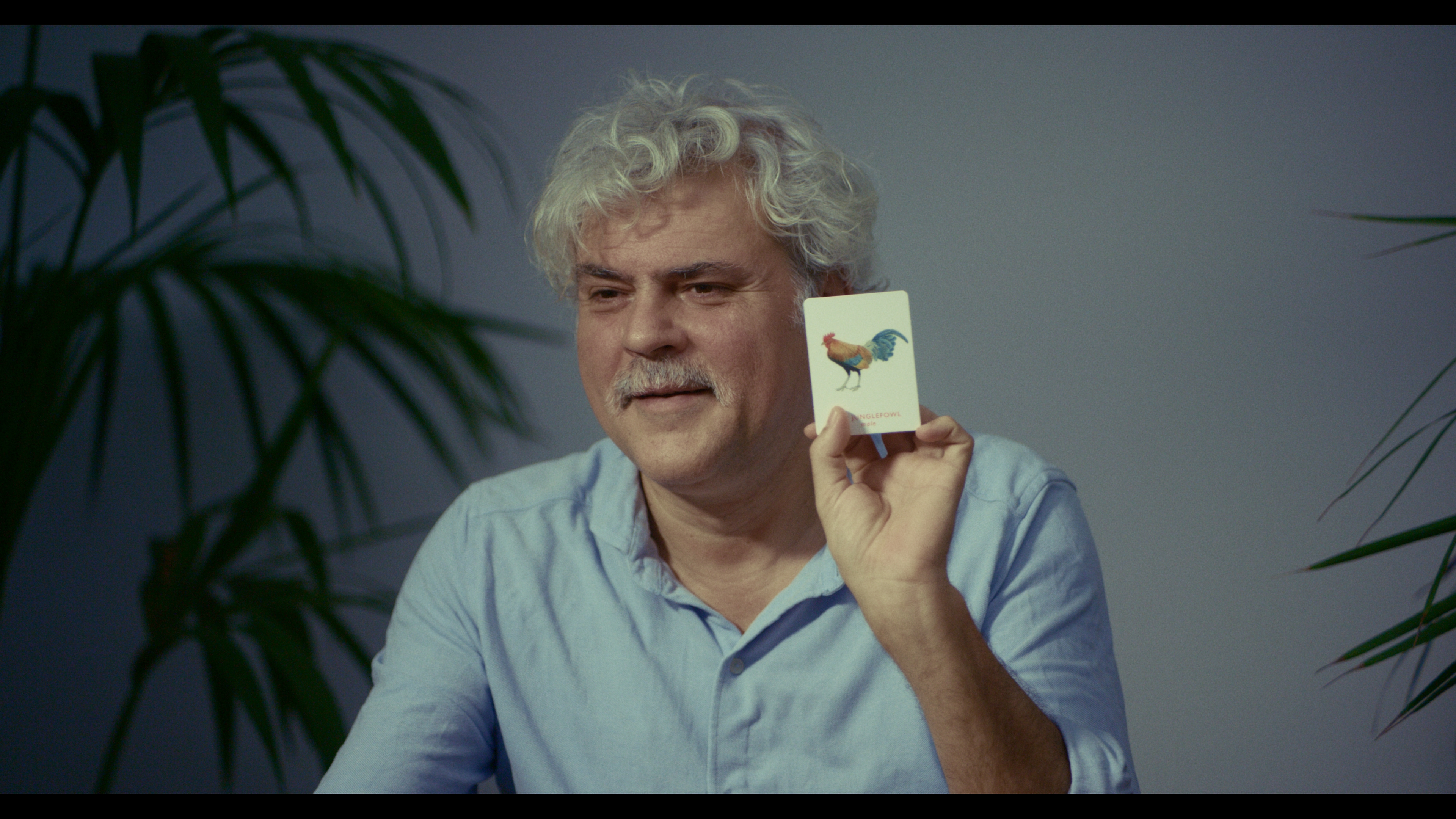 Μέσα «Ορνιθες», έξω δακρυγόνα-2