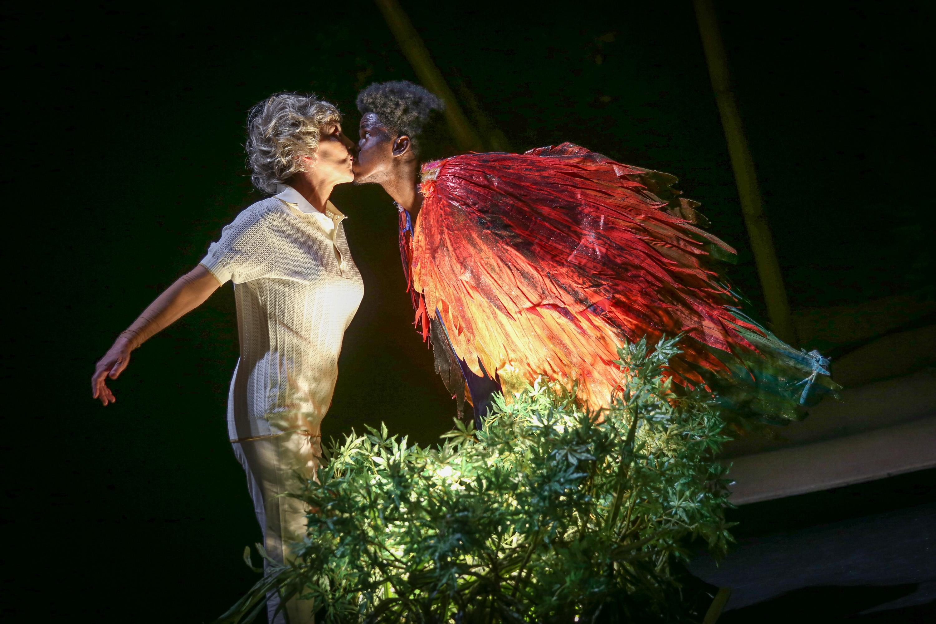 Μέσα «Ορνιθες», έξω δακρυγόνα-1