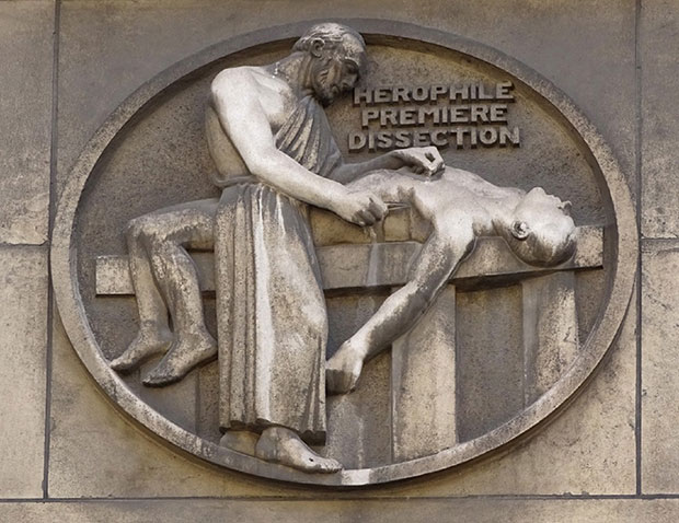 Παρουσίαση της σειράς ντοκιμαντέρ «Το ημερολόγιο του Ιπποκράτη» στο Αμφιθέατρο του Μουσείου Ακρόπολης-1