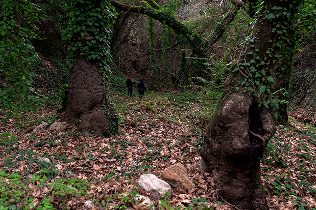 Μονεμβασιά: Η χειμωνιάτικη-7