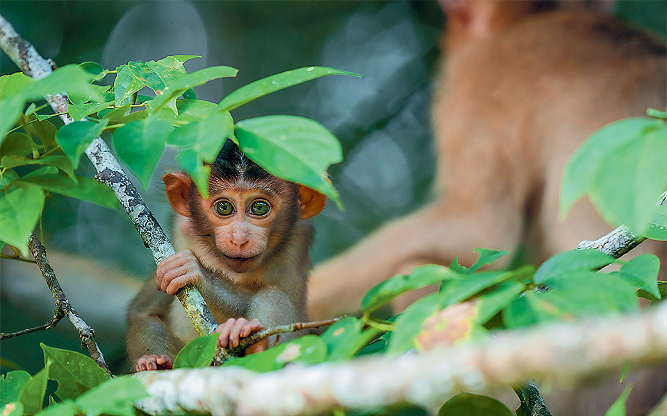 ΤΑΞΙΔΙΑ, αυτή την Κυριακή με την Καθημερινή ταξιδεύουμε στον Κίσσαβο και το Λουξεμβούργο-5