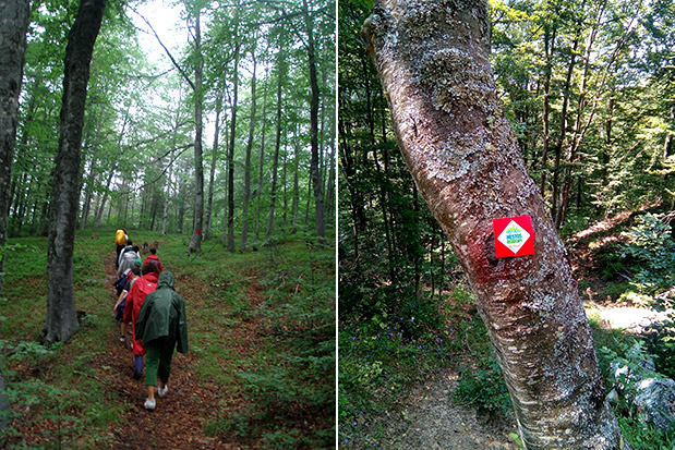 Eμμανουήλ Χρ. Τσέπελης: Δήμαρχος Ξάνθης-2