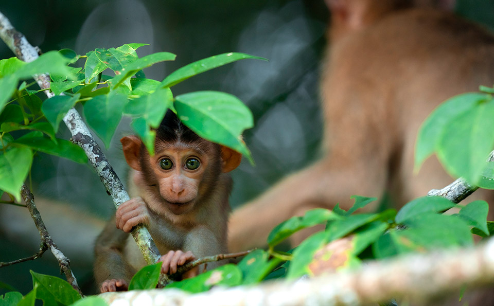Eικόνες που κερδίζουν-2