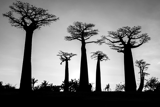 Eικόνες που κερδίζουν-4