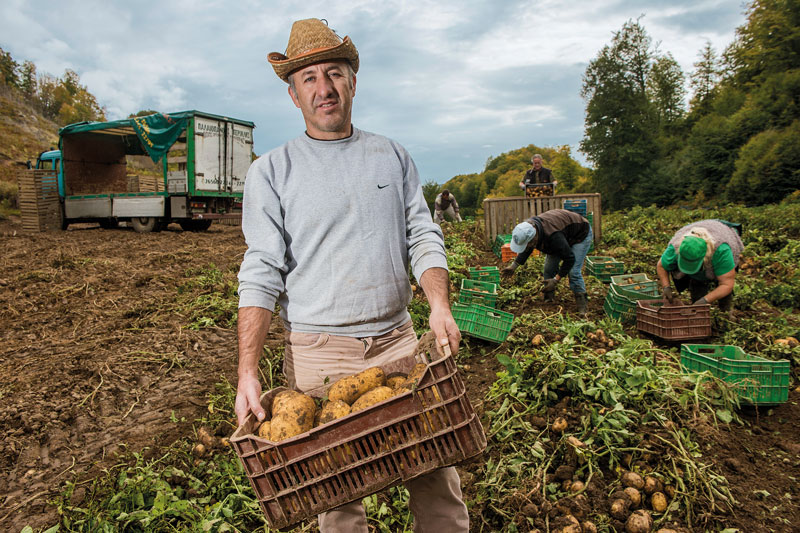 Η πατάτα της Πίνδου-2