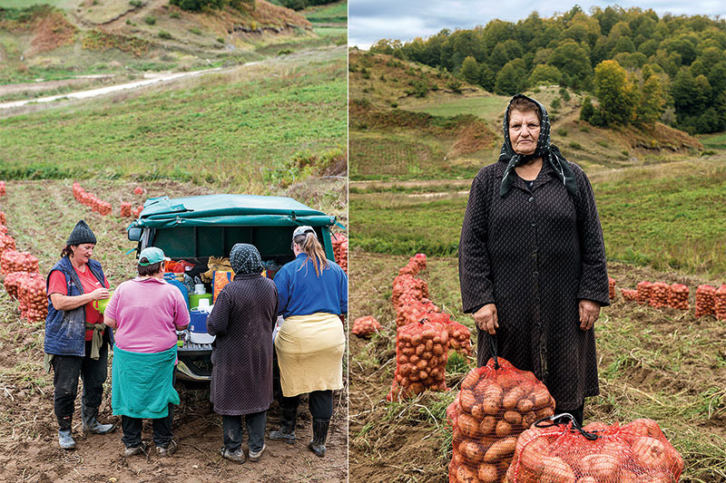 Η πατάτα της Πίνδου-3