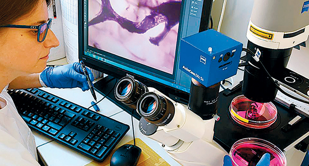 Οι νέες τάσεις και το μέλλον της ρομποτικής-2