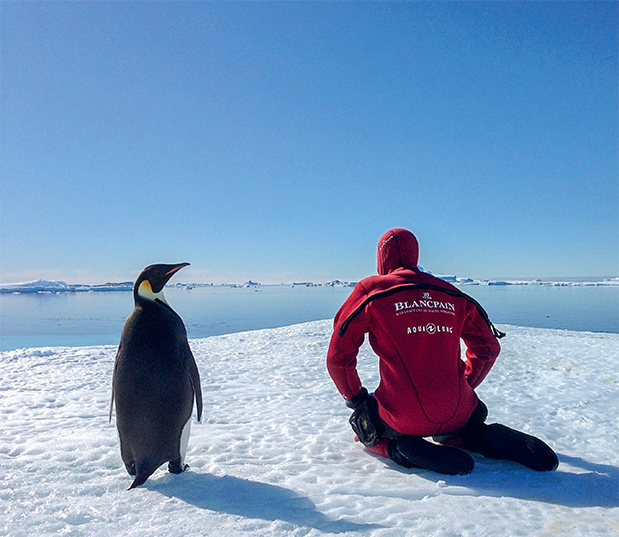 O Laurent Ballesta στην Αθήνα-2