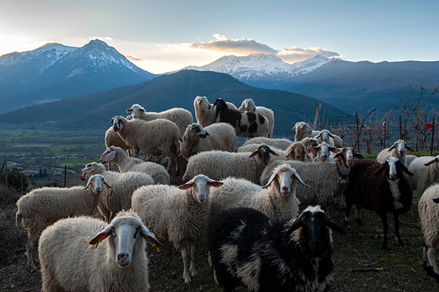 Οροπέδιο Φενεού: Τόπος διαφυγής-3